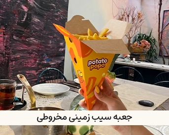 چاپ و جعبه و بسته بندی فست فود 