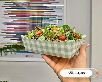 جعبه و بسته بندی فست فود